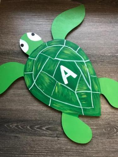 AJ Turtle Shape